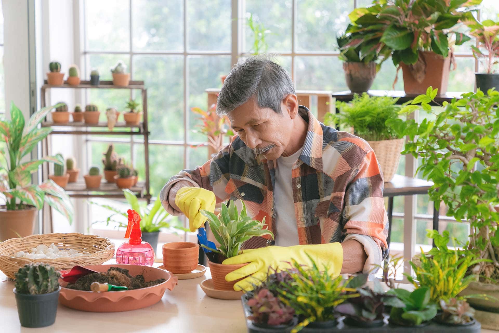 Henry Neuhauser Rostock